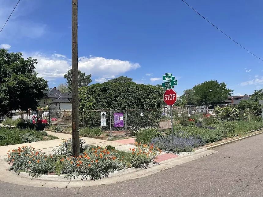 Photo of a DUG plot.