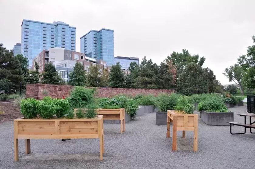 Garden plots full of plants