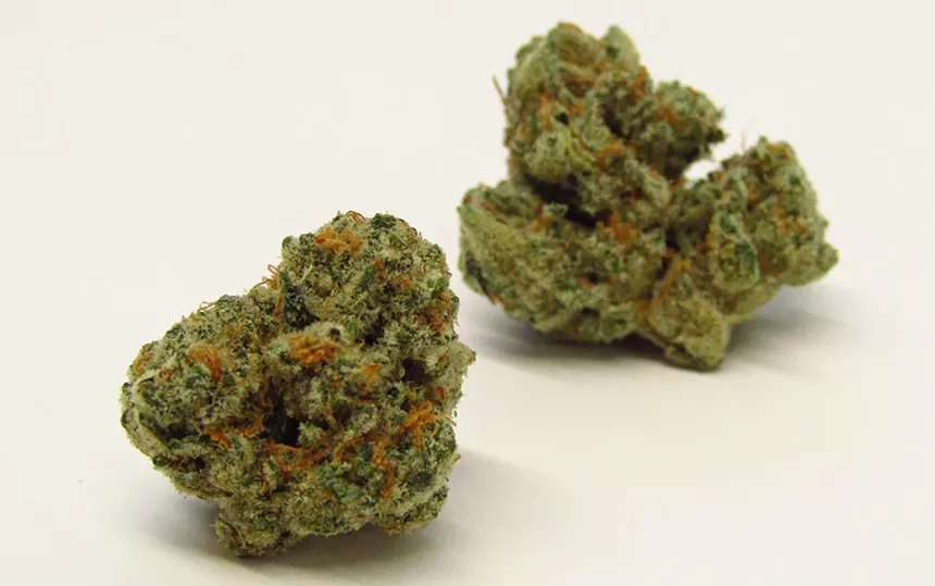 Georgia Pie cannabis strain