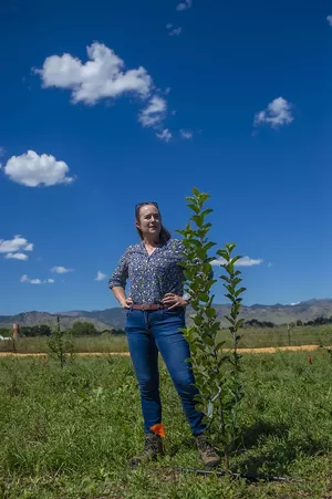 woman in field