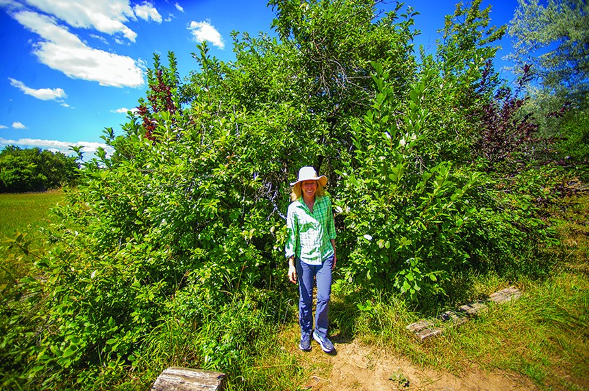 woman by apple tree