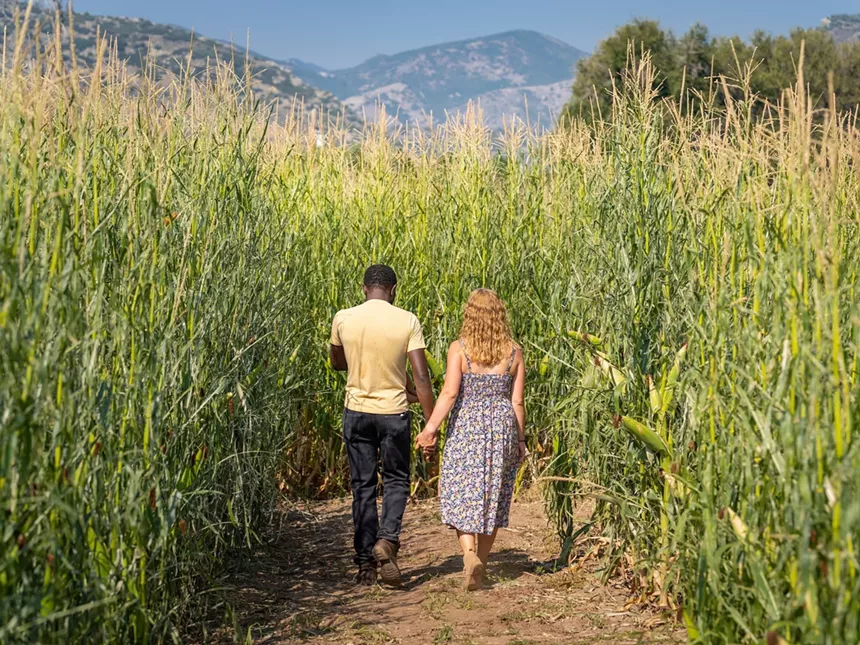 man and woman walking in corn maze