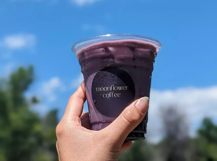 a hand holding a purple drink