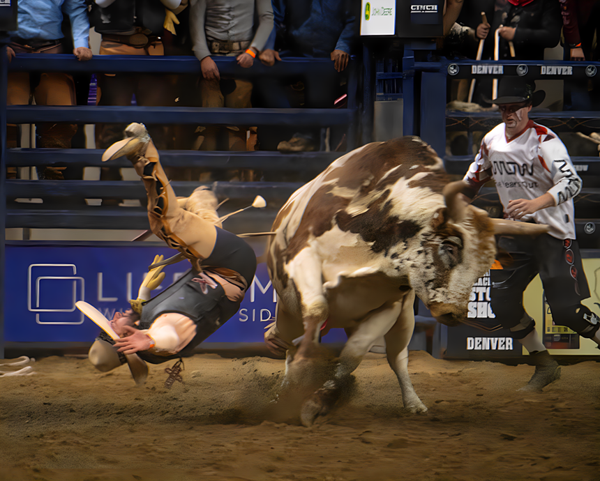 rodeo cowboy bucked.