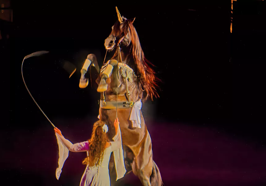 woman dancing with horse