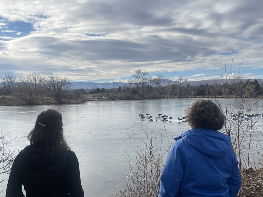 Two people watch birds swim on a lake.