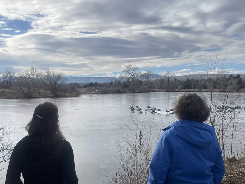 Two people watch birds swim on a lake.