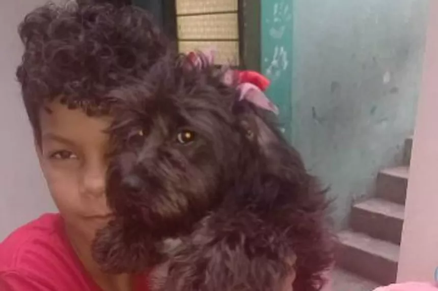 dog with boy