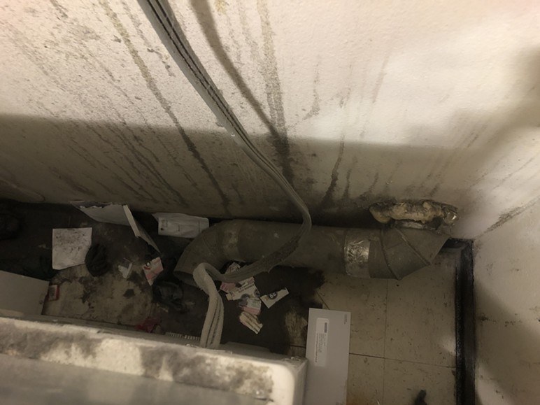 Black mold growing in an apartment unit