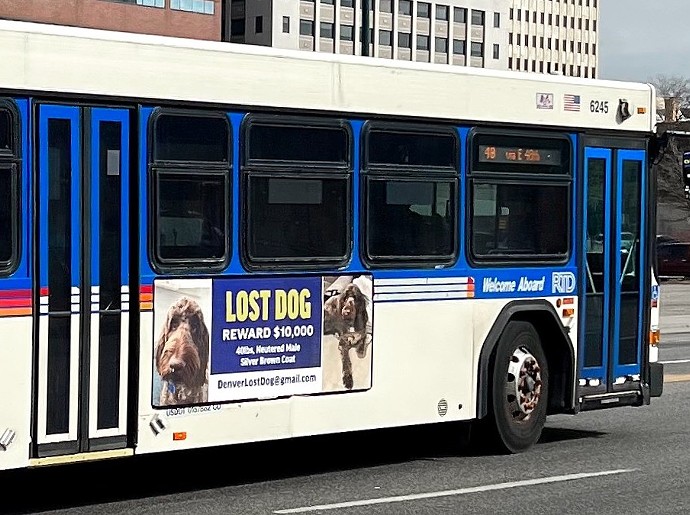 An ad asking for information about a lost dog, posted on the side of an RTD bus in downtown Denver.
