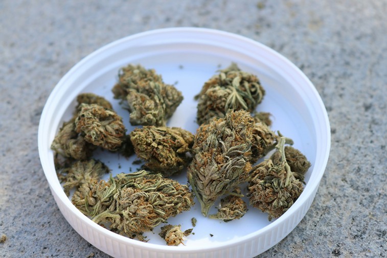 Marijuana buds on a countertop