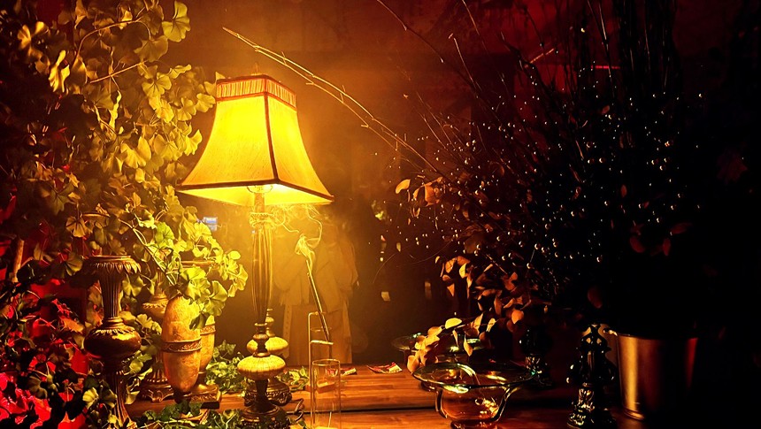 plants and a lamp on a table