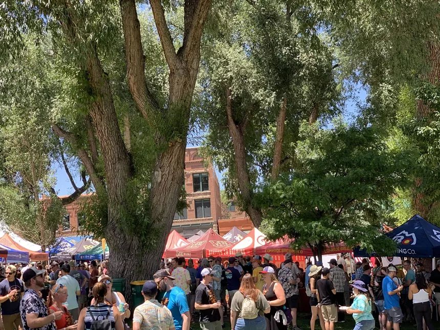 Beer festival under the trees.