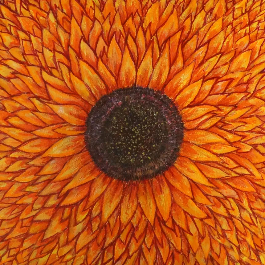 drawing of a sunflower