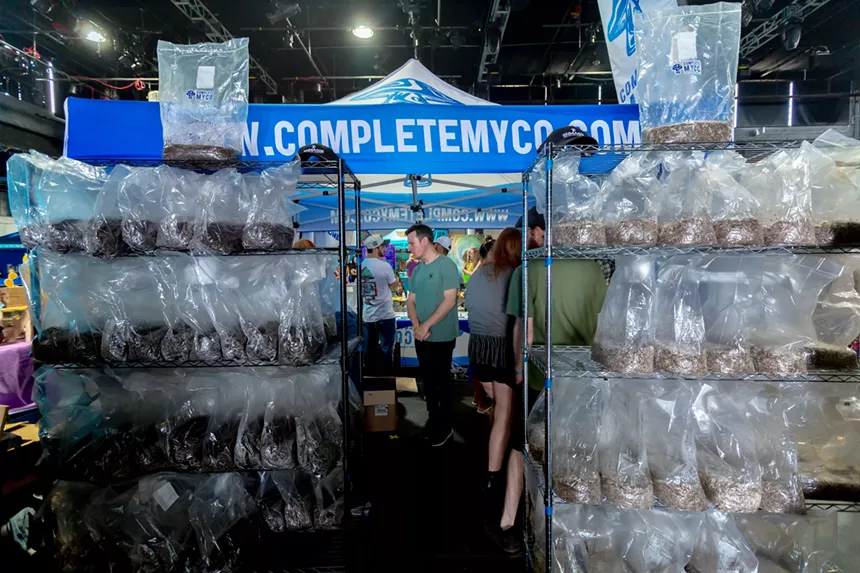 mushroom grow bags on display at Denver Shroom Fest