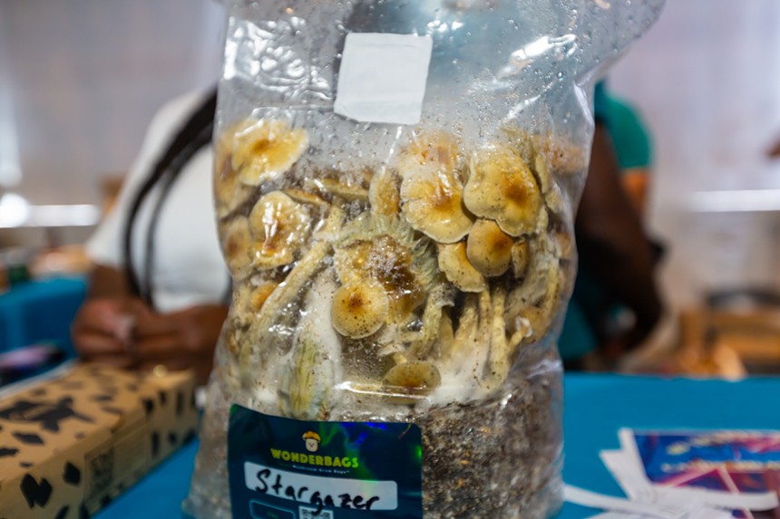mushroom grow bag on display at Denver Shroom Fest
