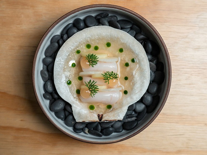 a scallop shell on a plate