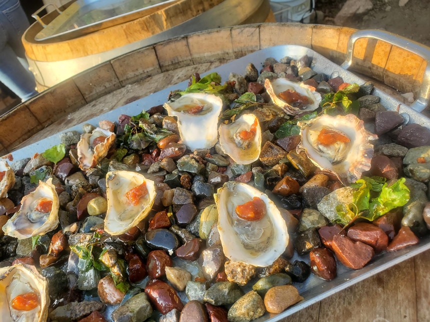 a platter of shucked oysters on top of rocks