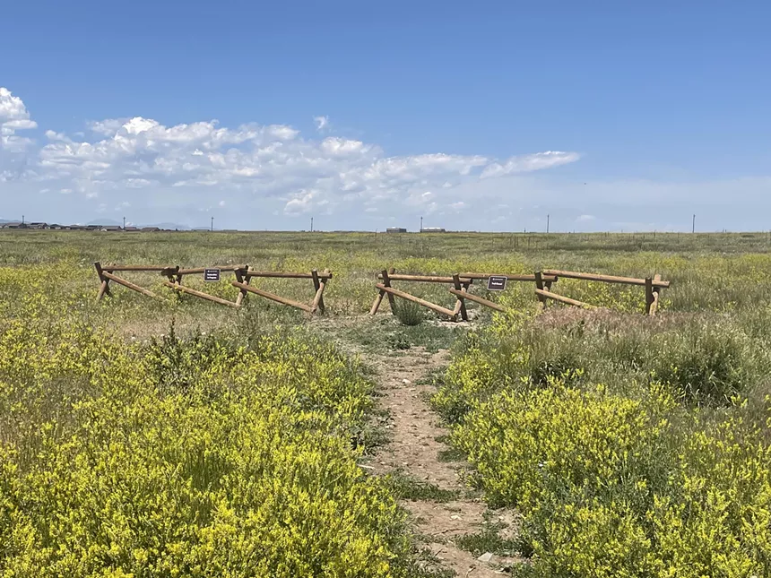 Walking in trail in prarie
