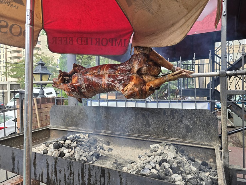 a whole pig cooking on a horizontal spit over coals