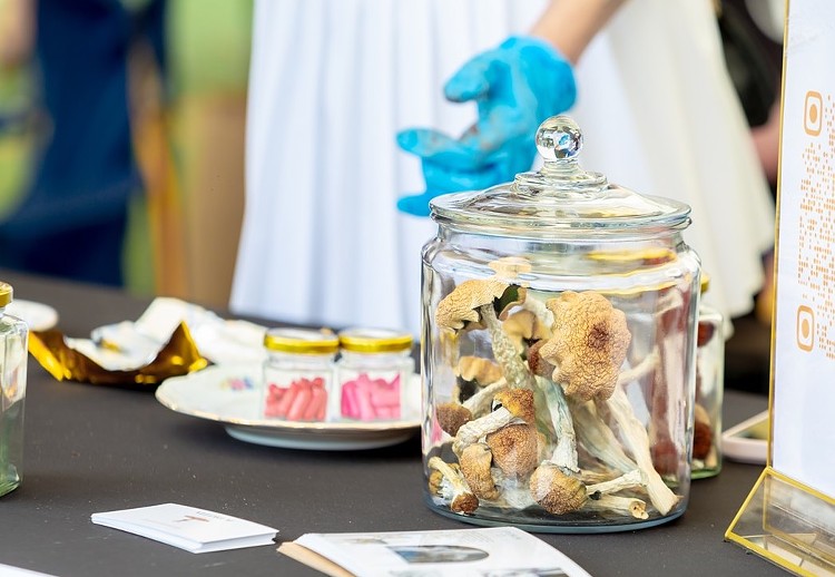 Jar of psilocybin mushrooms and capsules