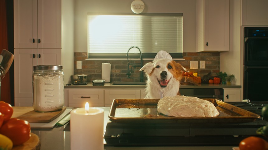 a dog chef proofing dough