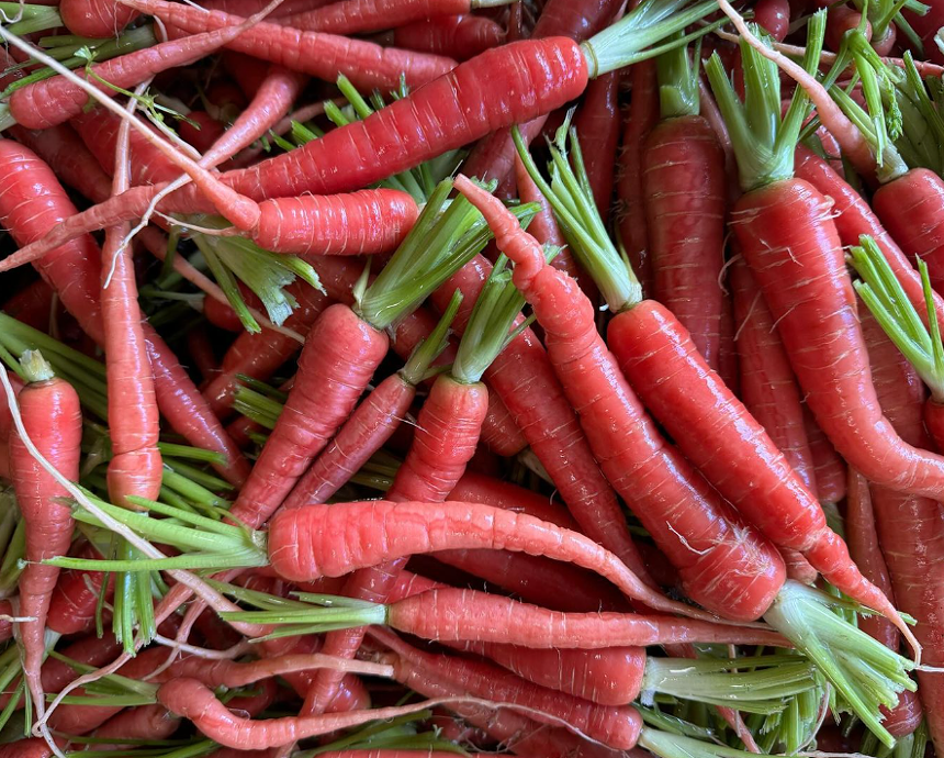 a pile of red carrots