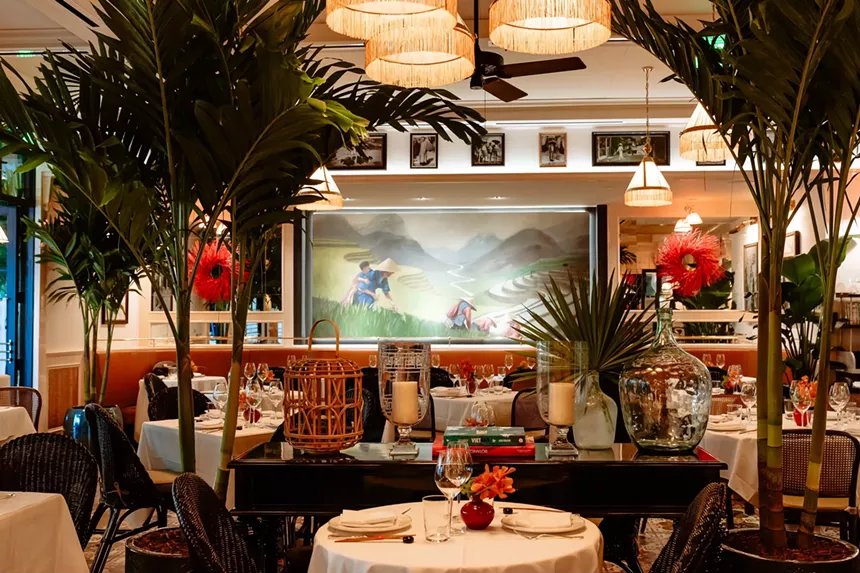 tropical plants inside a restaurant