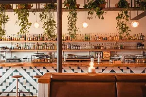 bar with plants
