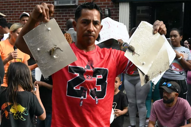 A man holds up rats.