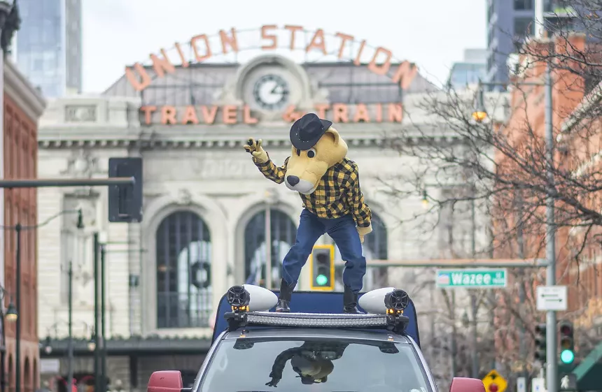 mascot mountain lion in parade