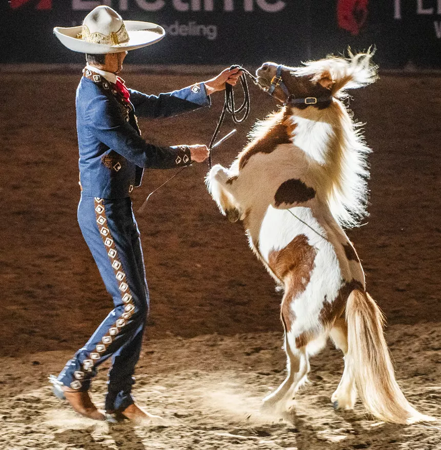 Mexican performer dancing with horse.