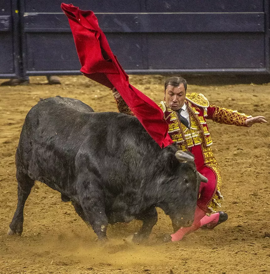 matador grabs bull