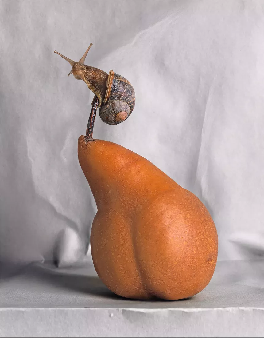 ceramic piece that looks like derriere