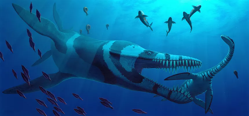 A blue illustration of ancient fish