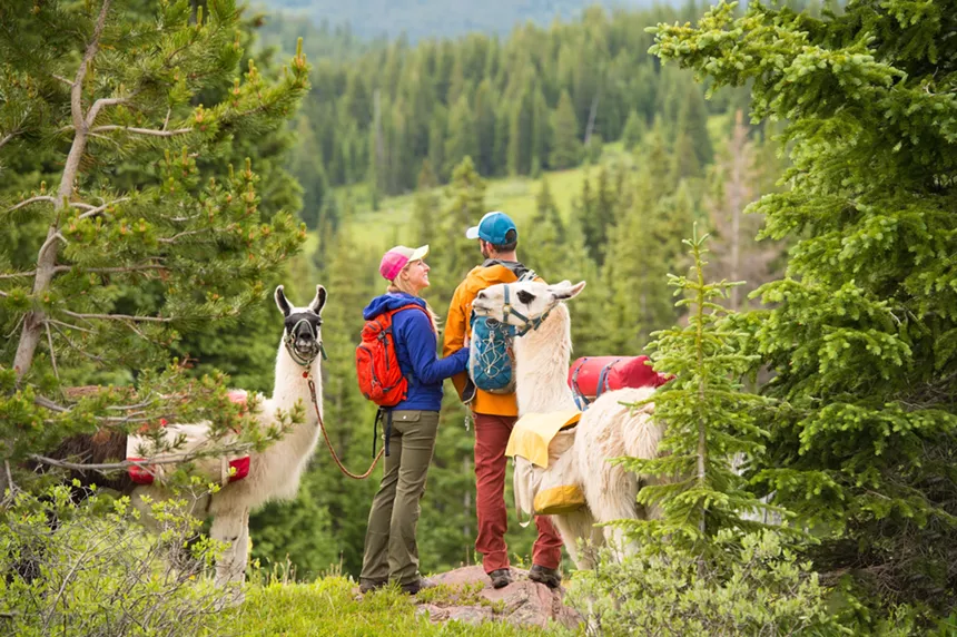 Two people on a hike with Paragon Guides' llamas