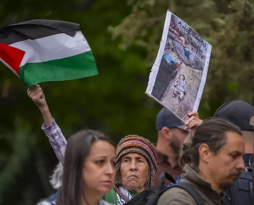protester waves signs