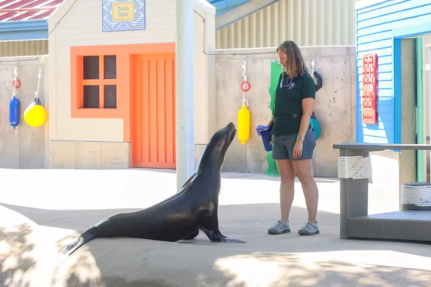 A woman stands next to a sea lion