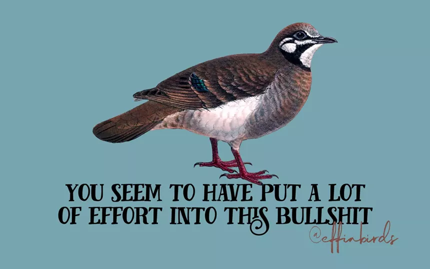 A bird illustration