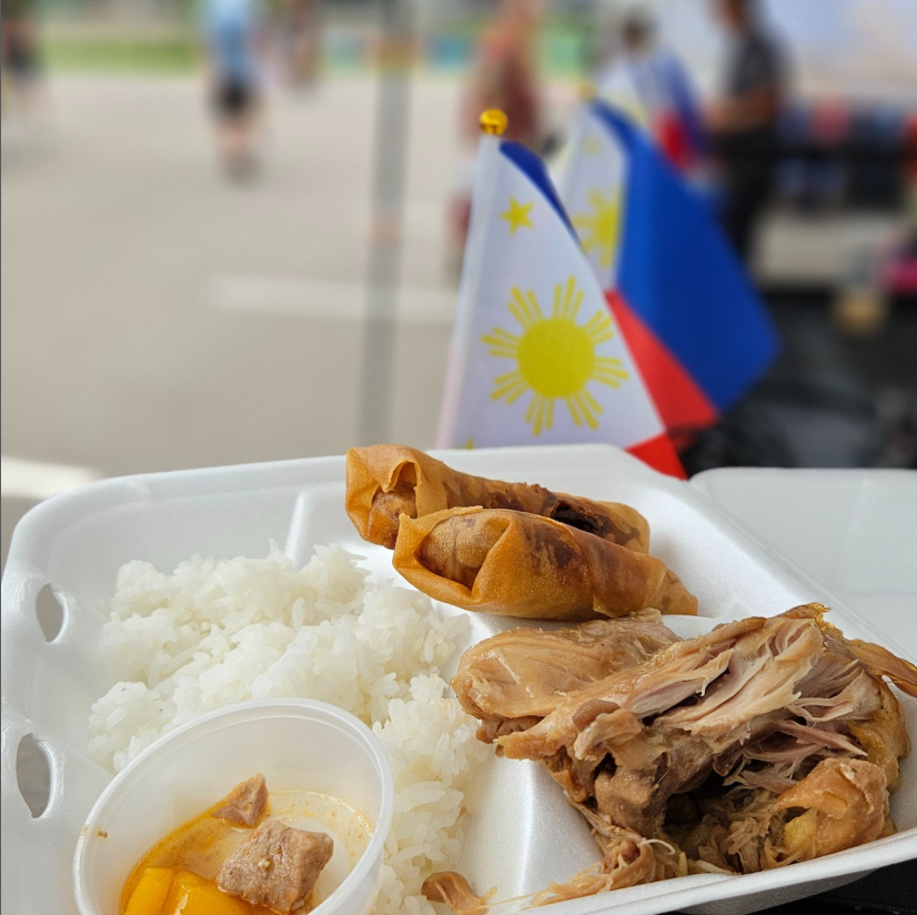 Filipino Adobo Chicken and Lumpia