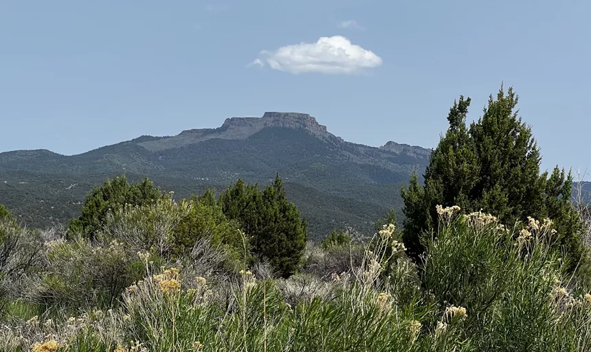 A mountain and grass terrain