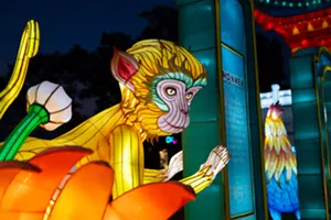 A monkey lantern