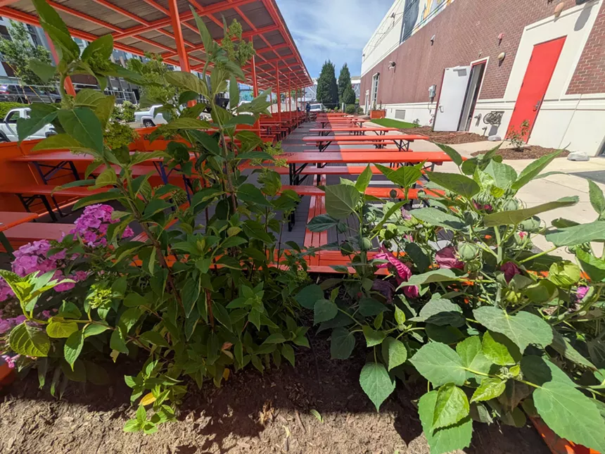 Flowers on a covered patio