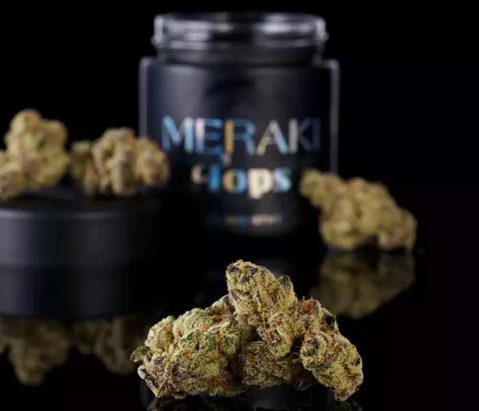 cannabis bugs by meraki