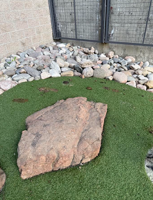 dog poop and fake grass in apartment courtyard