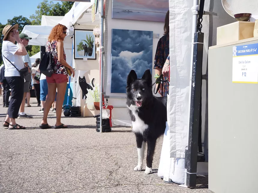 a dog peeks out of a booth