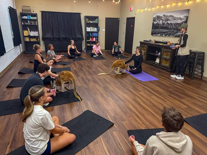 People sit on yoga mats while kangaroos hop around
