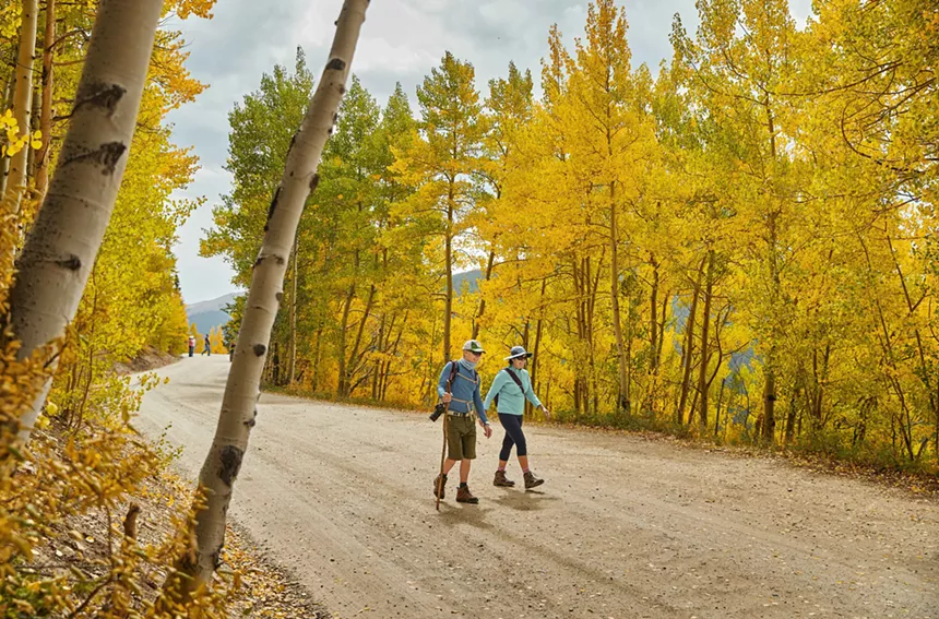 Two hikers amid yellow aspens on Boreas Pass