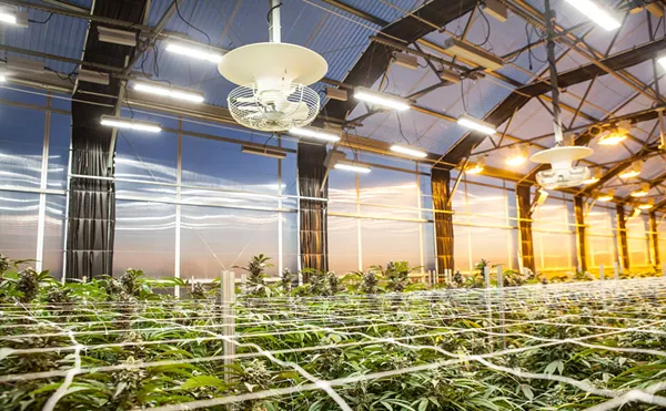 Latest Effort to Allow Recreational Pot Sales Launches in Colorado Springs