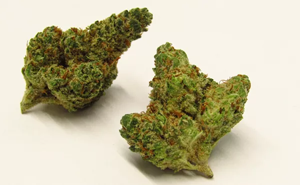 Why Colorado Tokers Love Pippa